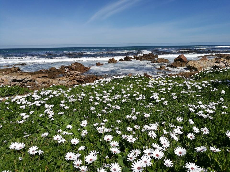 2 Bedroom Property for Sale in Sandbaai Western Cape